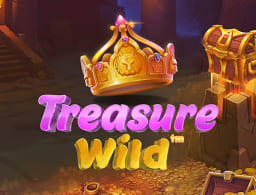 treasure-wild logo
