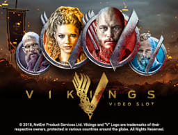 vikings-video-slot logo