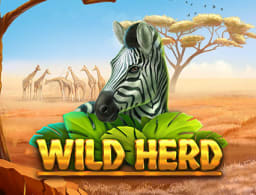 wild-herd logo