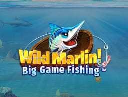 wild-marlin-big-game-fishing logo