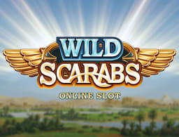 wild-scarabs logo