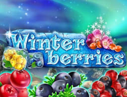 winterberries logo