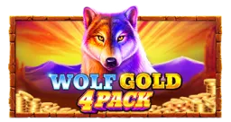 wolf-gold-4-pack logo