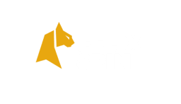 felixspin