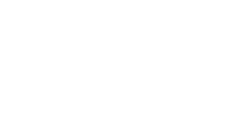 Playzee logo