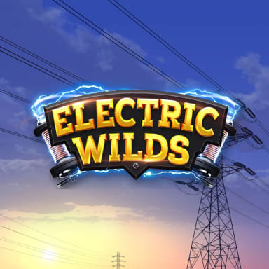 electric-wilds logo