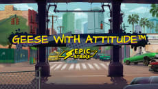 geese-with-attitude logo