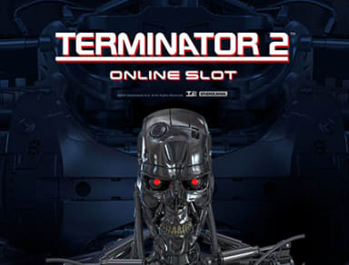 terminator-2 logo