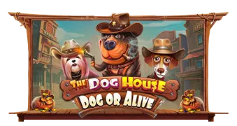 the-dog-house-dog-or-alive logo