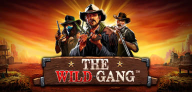 the-wild-gang logo