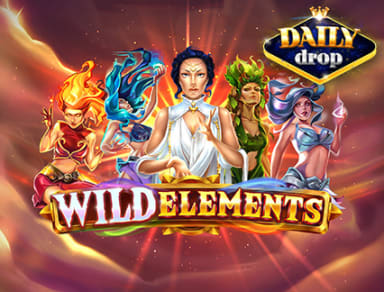 wild-elements logo