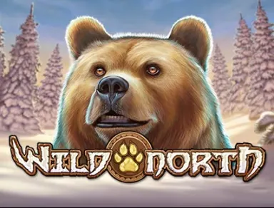 wild-north logo