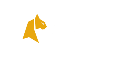 felixspin logo
