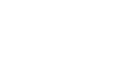 spinz logo