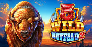 5 Wild Buffalo 2