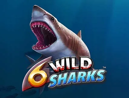 6 Wild Sharks