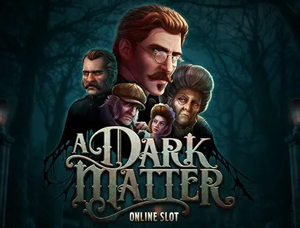 A Dark Matter