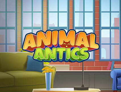 Animal Antics