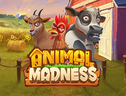 Animal Madness