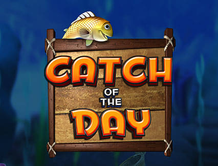 Catch Of The Day
