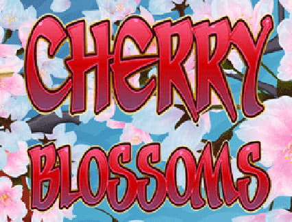 Cherry Blossoms