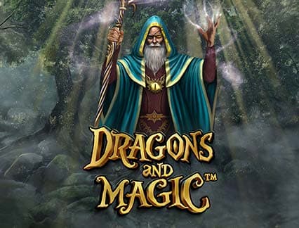Dragons And Magic