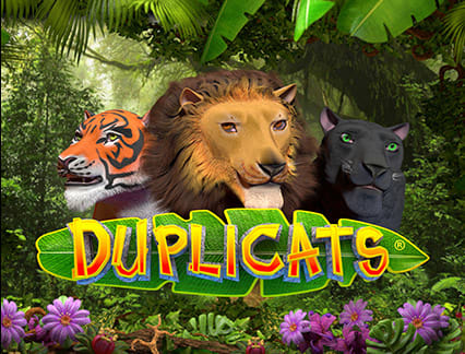 Duplicats