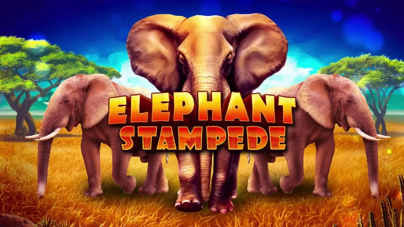 Elephant Stampede