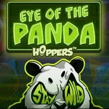 Eye Of The Panda