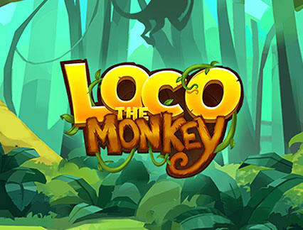 Loco The Monkey