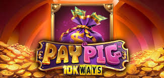 Pay Pig 10k Ways