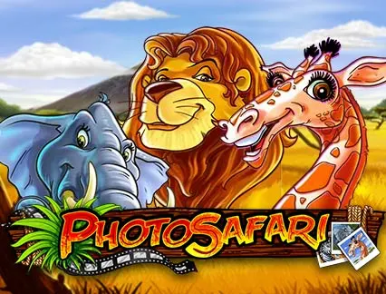 Photo Safari