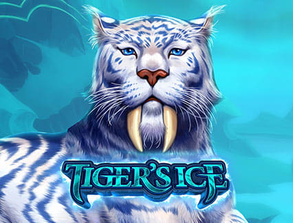Tiger S Ice