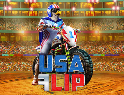 Usa Flip