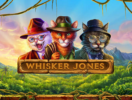 Whisker Jones