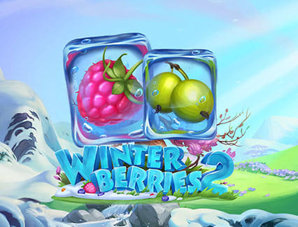 Winterberries 2