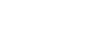 duel logo