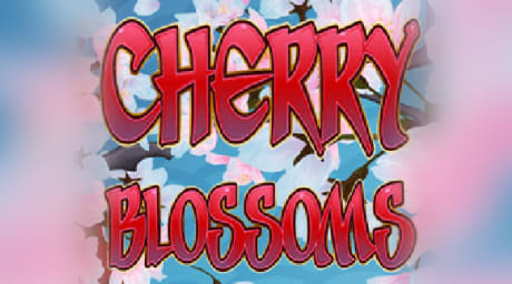 Cherry Blossoms