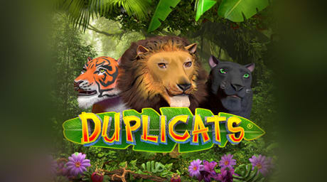 Duplicats