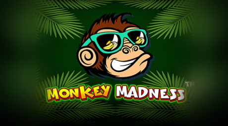 Monkey Madness