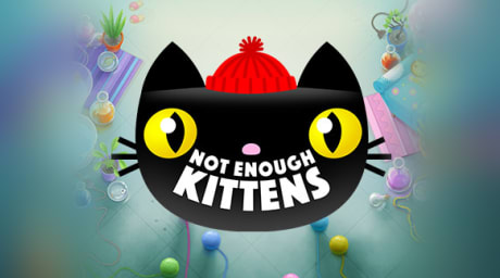 Not Enough Kittens