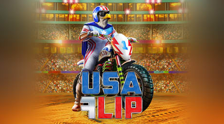 Usa Flip