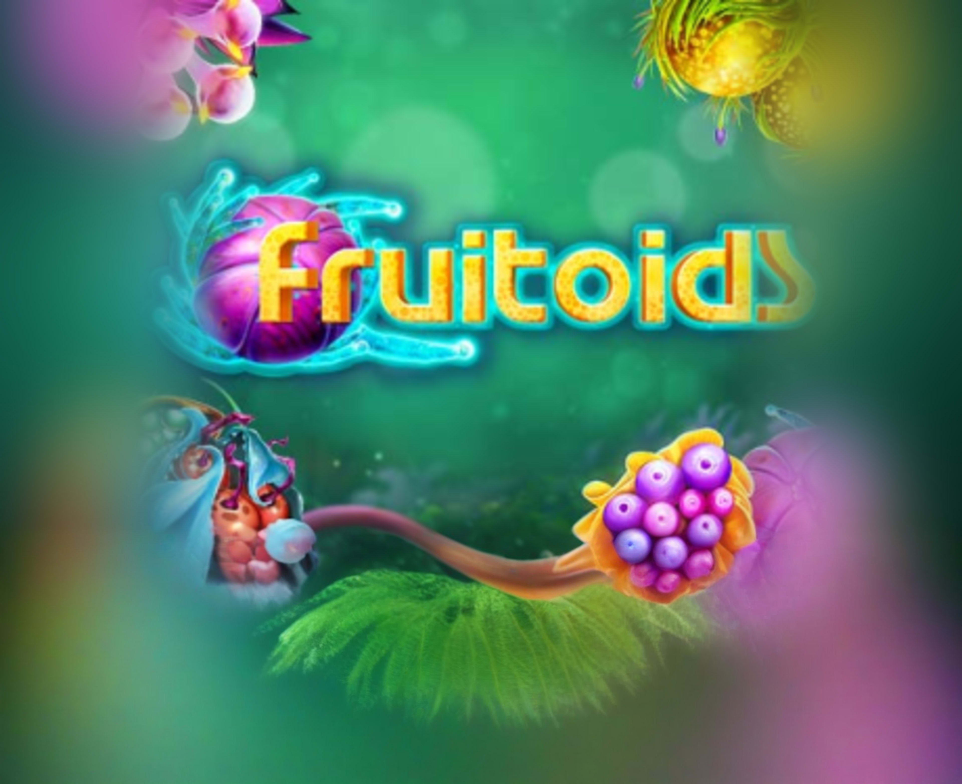 Fruitoids thumbnail
