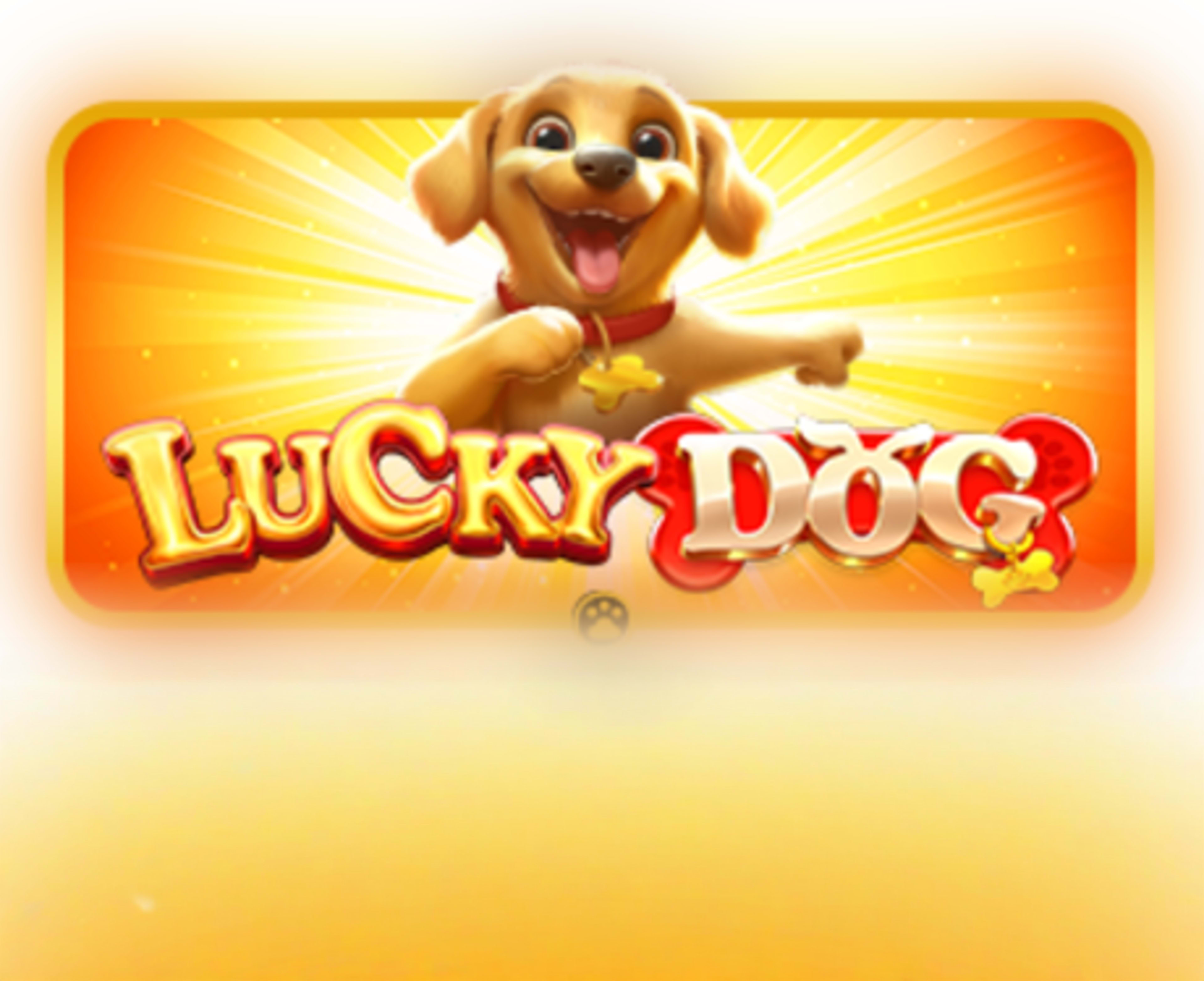 Lucky Dog thumbnail