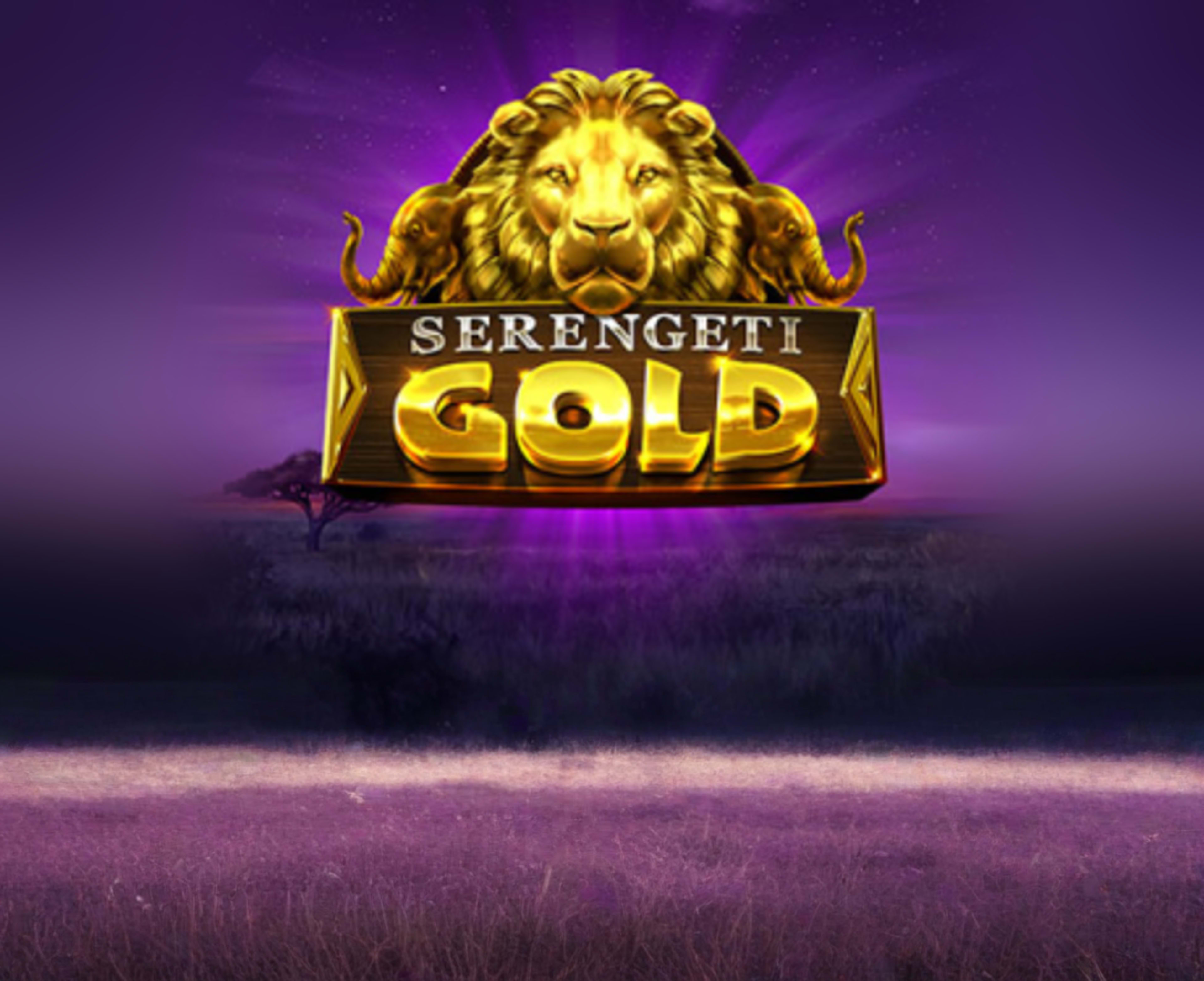 Serengeti Gold thumbnail