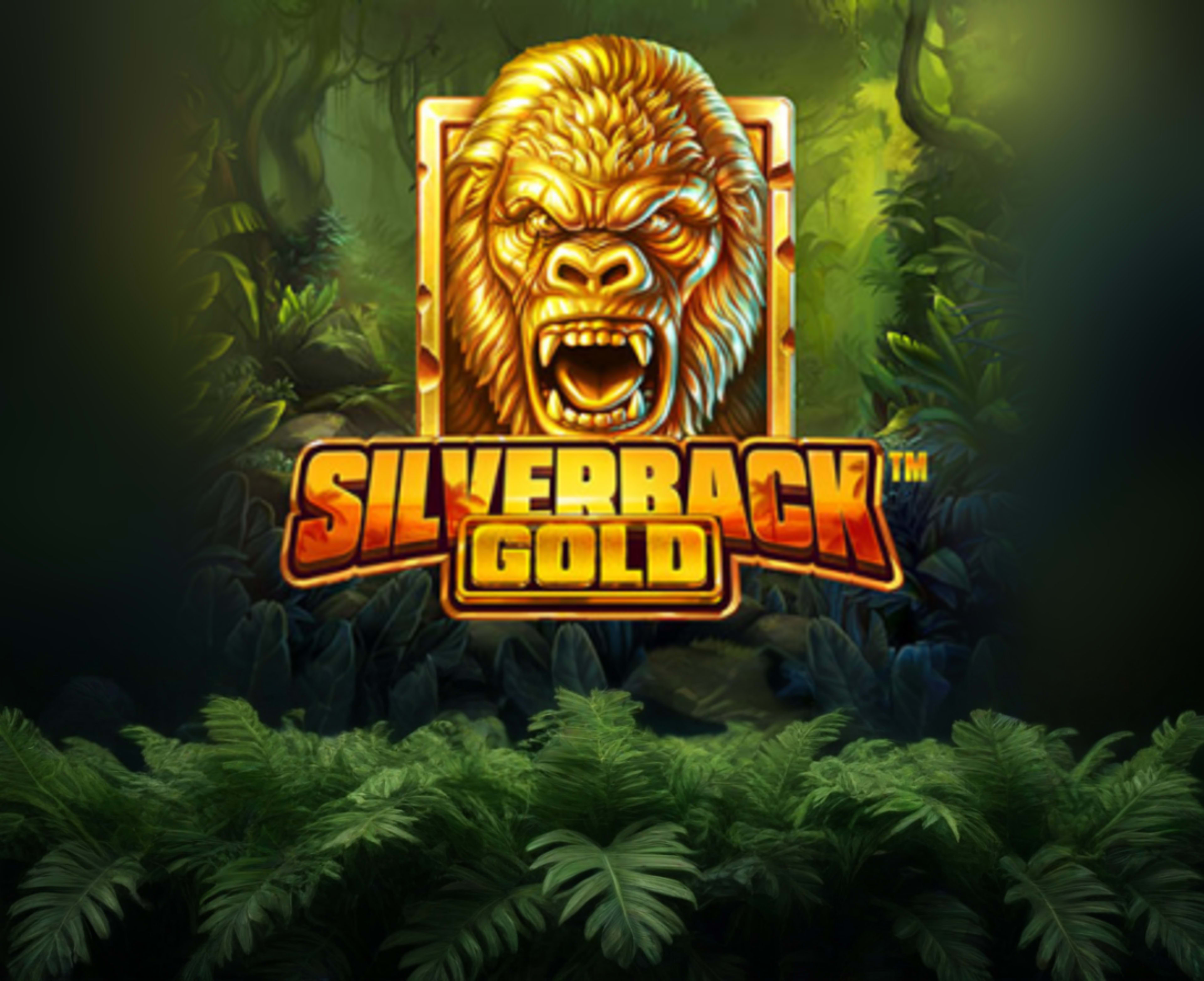 Silverback Gold thumbnail