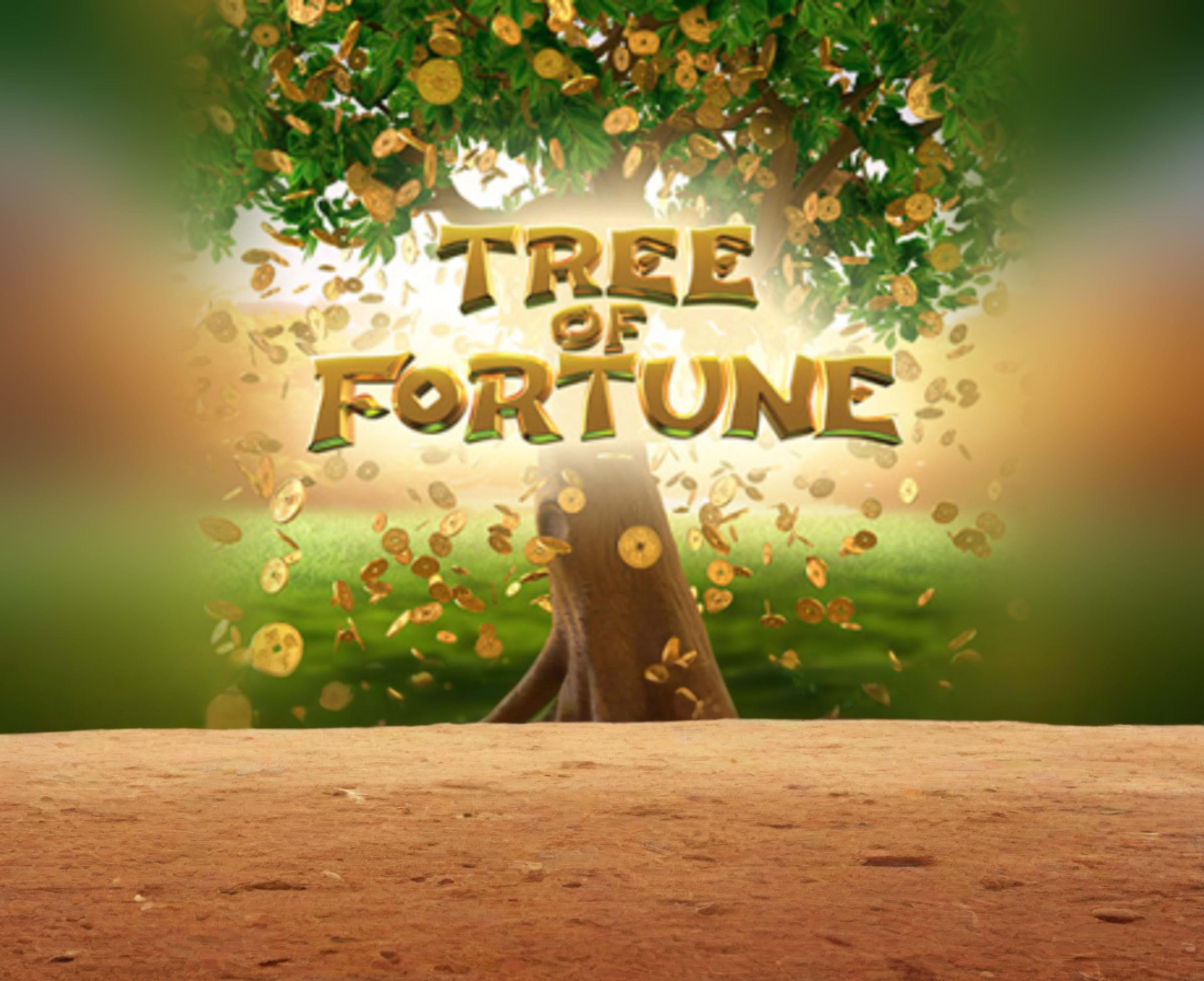 Tree of Fortune thumbnail
