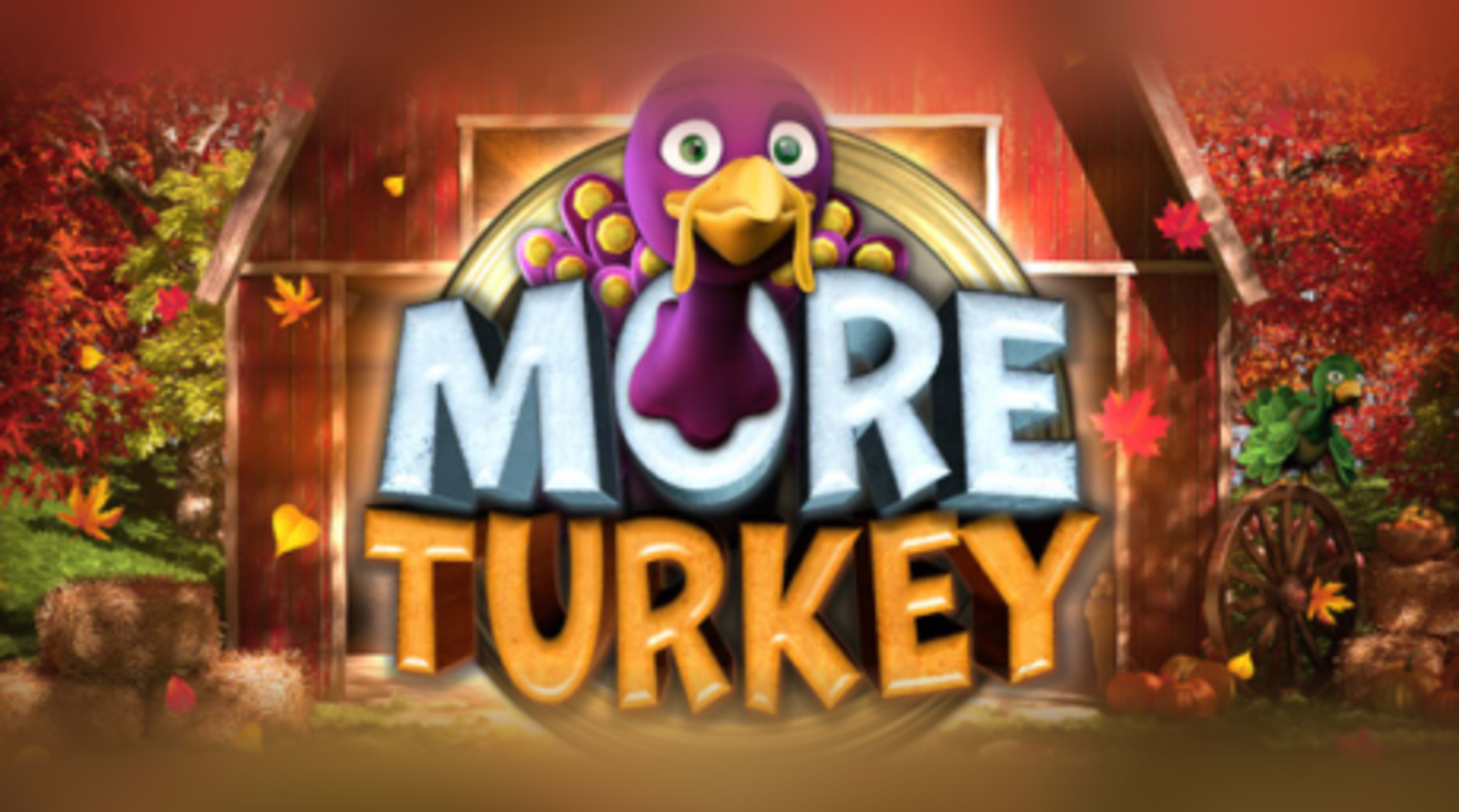 More Turkey