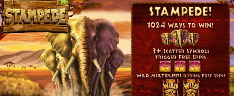 New Slot Review Stampede