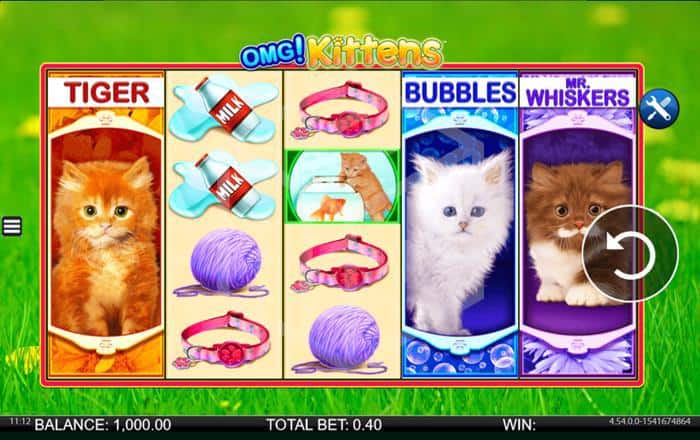 fancy bingo kostenlos spielen automaten